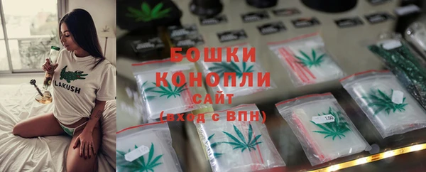 spice Гусь-Хрустальный