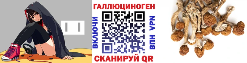 Псилоцибиновые грибы мицелий  hydra tor  Еманжелинск 
